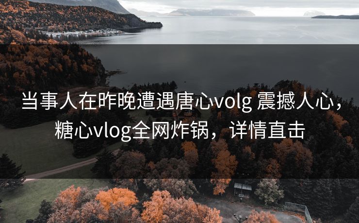 当事人在昨晚遭遇唐心volg 震撼人心，糖心vlog全网炸锅，详情直击