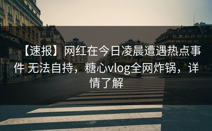 【速报】网红在今日凌晨遭遇热点事件 无法自持，糖心vlog全网炸锅，详情了解  第1张