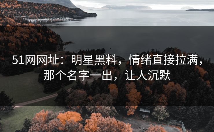 51网网址：明星黑料，情绪直接拉满，那个名字一出，让人沉默